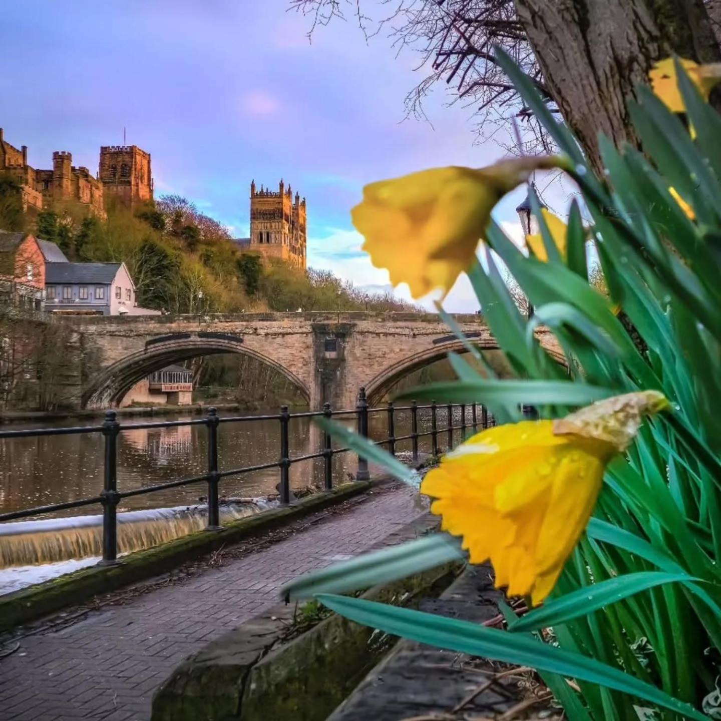 Durham Stays - The Mayor エクステリア 写真